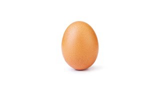 The Egg That Broke... The World Record (Instagram Egg)