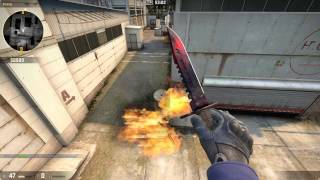 Cache Mid Molli Whitebox