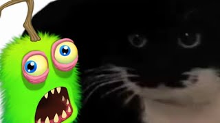 Completely Normal Teaser Video.