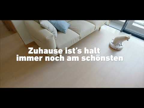 B+B Der Immobilienmakler - Autokino auf dem Stoppelmarkt B+B Der Immobilienmakler - Autokino auf dem Stoppelmarkt