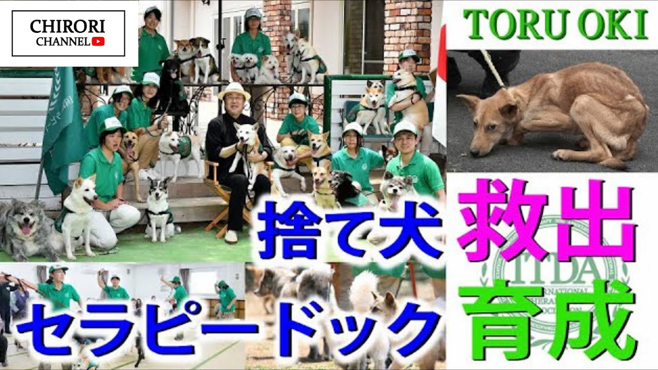 動画あり】アニマルセラピーの力に学生感動。国際セラピードッグ協会