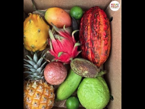 Miami Fruit Farm and Service