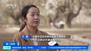 [第一时间]宁夏中卫：山间梨花开 黄河古村旅游热| 财经风云