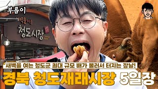 【#부름이】[ENG SUB] 배가 완전 터진다 터져...! 역대급 최대 규모 5일장!! | #경북 | #청도 | #청도시장 | #청도장 | #5일장 |