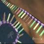 Protein Synthesis Pathways In Cells: From DNA To Ribosomes