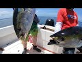 Fishing trip to chiriqui panama for yellowfin tuna round 2