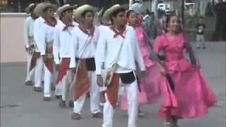 EL SON DE TIERRA CALIENTE - LOS RAYOS DE OAXACA