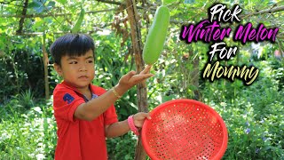 Seyhak Pick Winter Melon For Cooking / Winter Melon Soup Is Good For Health / Sreypov Life Show