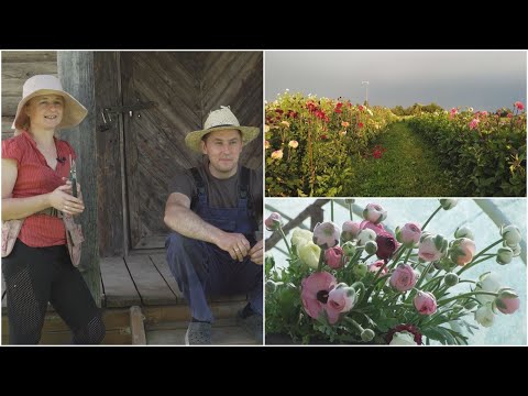 Video: Kaip padėti kam nors giminaičio mirčiai: 13 žingsnių