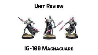 IG-100 Magnaguard Unit Review