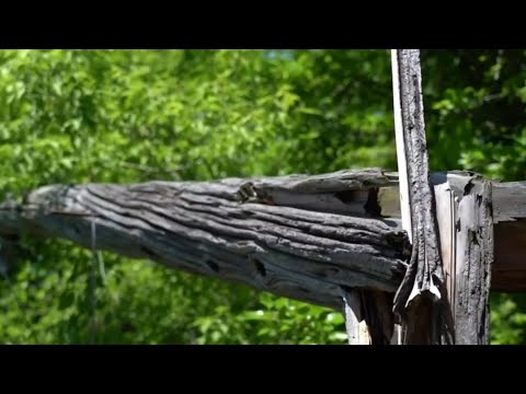 Broken utility pole