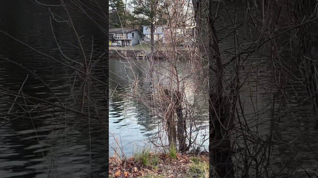 Cast number 1000 no fish 😅 bet I can cast further than you! 🎣 