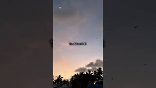 Download Lagu Hum Tere Pyar Mein #shorts#trending#viralvideo#youtube#analytics MP3 Download Lagu Hum Tere Pyar Mein #shorts#trending#viralvideo#youtube#analytics MP3
