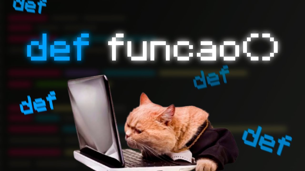 Pra você que nunca entendeu FUNÇÕES no PYTHON