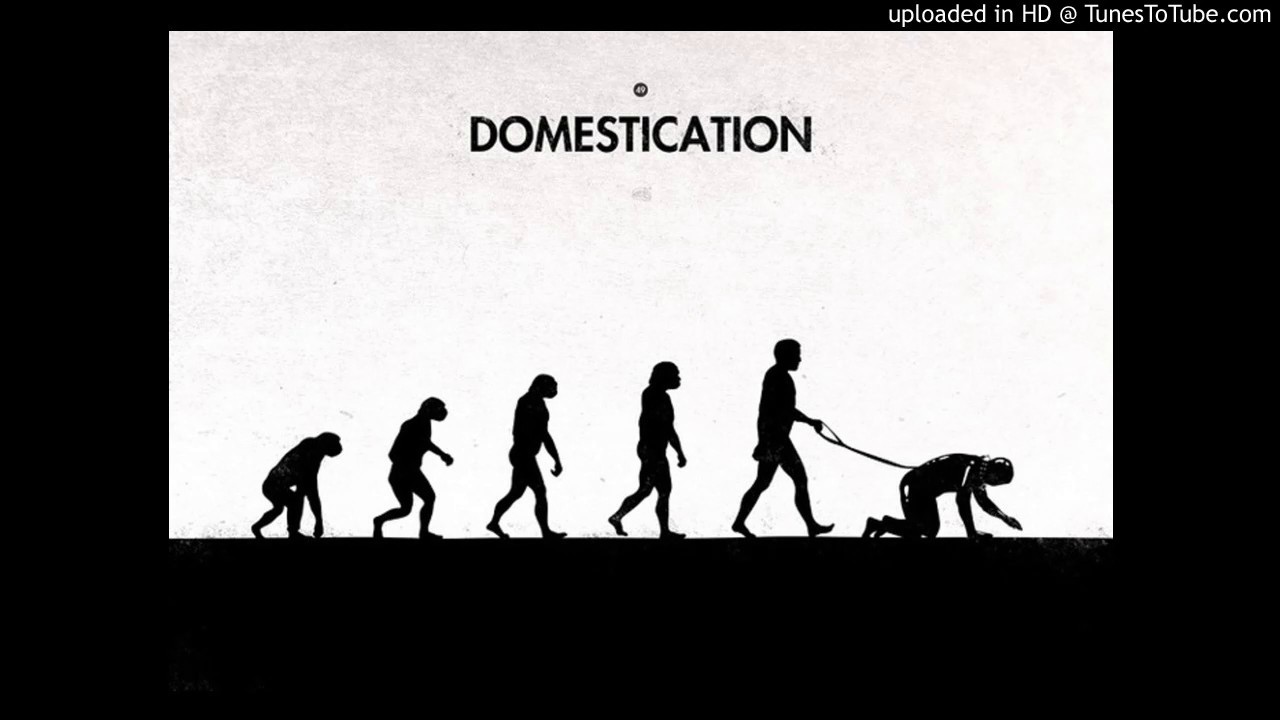Развитие прогресс эволюция. Эволюция человека. Развитие человека. Эволюция картинки. Обратная Эволюция.