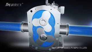 Durrex-Pump Rotary Lobe Pump x264