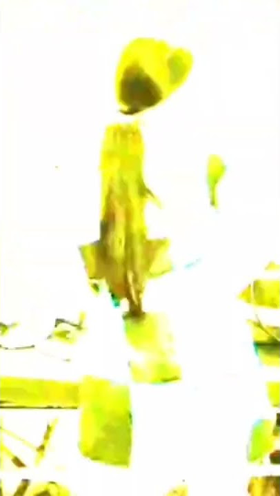 goyang daster nambah damage cewe tiktok || goyang pantat😋 #shorts #youtubeshorts