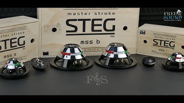 STEG MSS-KIT INTRODUCTION 4K (FNS)