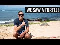 North Shore of Oahu Eats + Beaches | Oahu, Hawaii Day 2