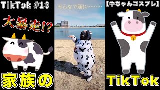 【TikTok#13】牛ちゃんコスプレで踊ってみた♪【牛 コスプレ】【コスプレ 踊ってみた】【tiktok ダンス】【ティックトック】