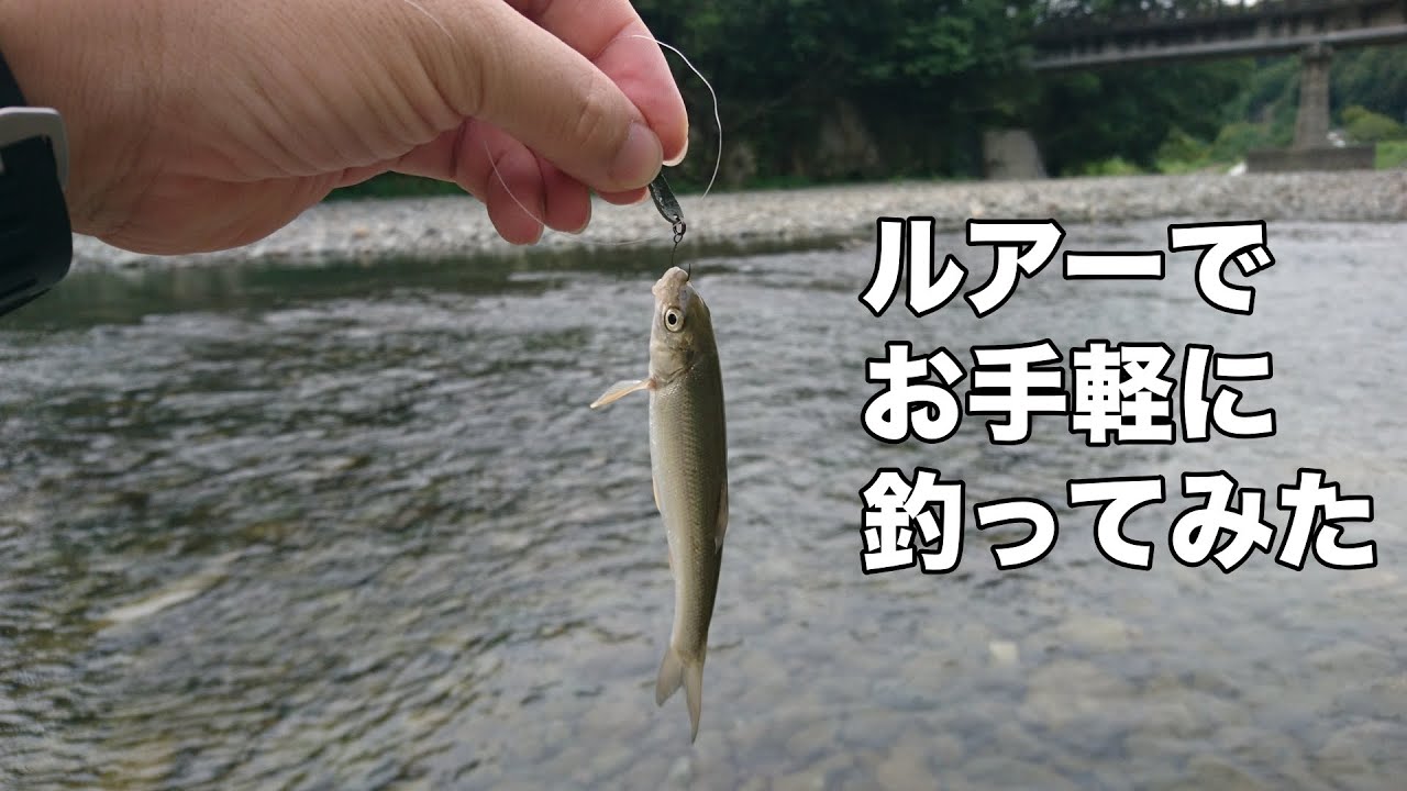 近場で楽しむ 川の小魚 ウグイ カワムツ をルアーでお手軽に釣ってみた Youtube