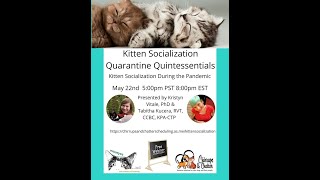 Webinar: Kitten Socialization Quarantine Quintessentials
