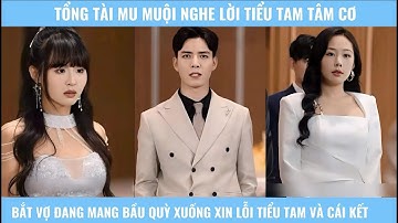 Sương mù sẽ tan - Tổng tài mu muội bắt vợ bầu của mình quỳ xuống xin lỗi ả tiểu tam tâm cơ