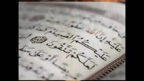 القارئ الشيخ  / فارس عباد