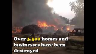 Northern california fires