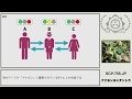 【ゆっくりSCP紹介】SCP-755-JP【ナナホシホシテントウ】