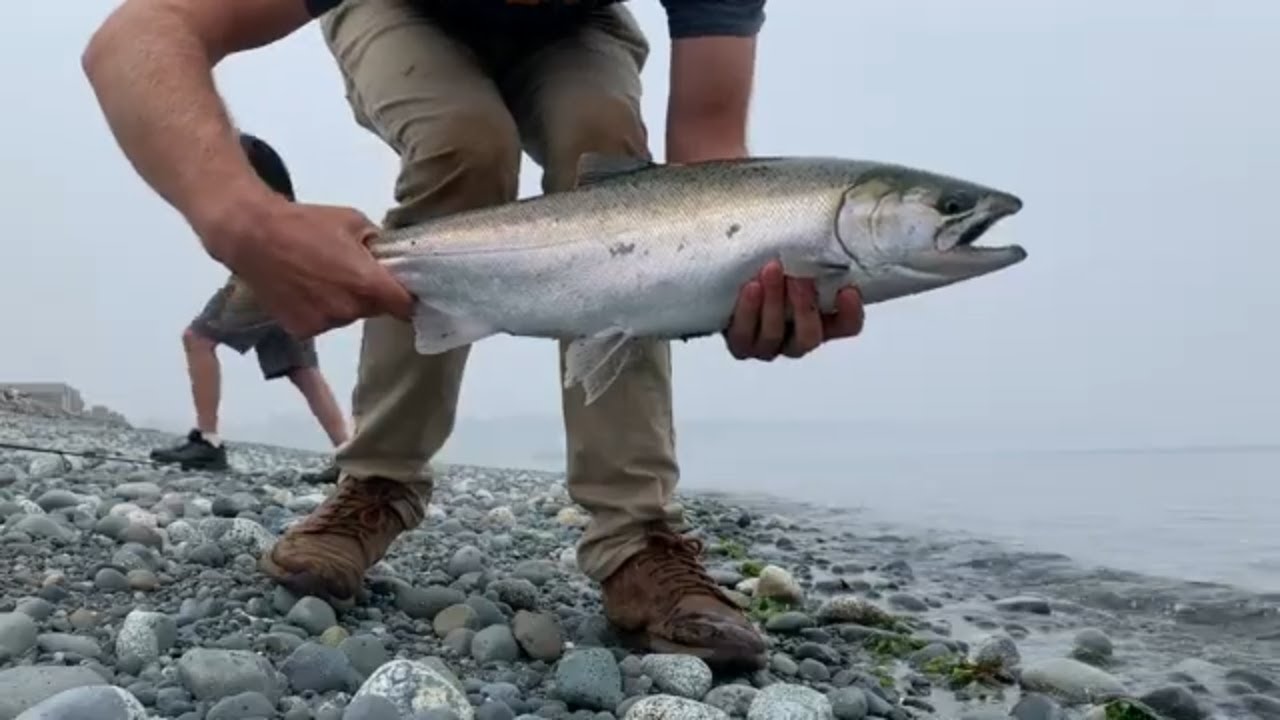 Buzz Bomb Life - Beach Fishing For Coho