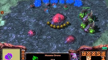 Starcraft 2 - Custom Race Neo Zerg tech demo 15