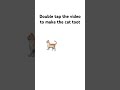 Double Tap Video Part Two Greenscreen Flute Recorder Music Clarinet Recorderplayer Flute Double Tap Video Part Two Greenscreen Flute Recorder Music Clarinet Recorderplayer Flute