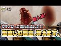 #20【職人の型直し】内野手用グラブが外野手用グラブに変身できるのか!?