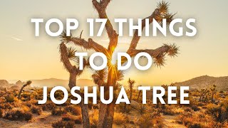 Joshua Tree  Top Things To Do Joshua Tree NP  Best of Joshua Tree National Park  Stargazing