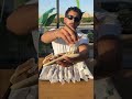 Egypt Cairo Food Viral Egypt Cairo Food Viral