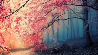 [Melodic Dubstep] Effulgence & Immensus - A Heaven in a Wild Flower