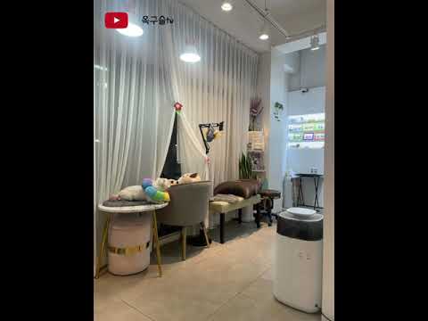 일상으로 돌아왔습니다...