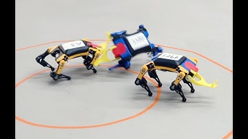 Bittle Battle | The Epic Showdown of Open-Source Coding Robot Dogs | PetoiCamp