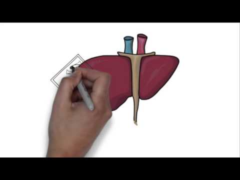 Печеночная энцефалопатия
