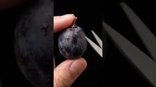 #shorts #asmr #macro #macroasmr #satisfying #oddlysatisfying #cinematic  #fruitasmr #macrovideo