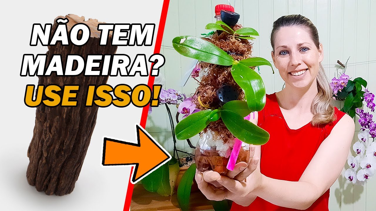 Como Plantar e Cultivar Orquídea Phalaenopsis na Garrafa Pet