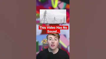 This Video Has No Sound Shorts 