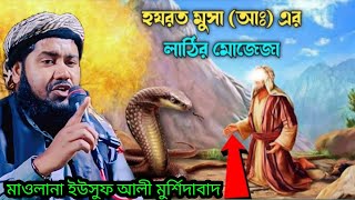 মুসা নবীর লাঠির মোজেজা |  Yusuf Maulana Jalsa | Yusuf Jalsa | Maulana Yusuf Ali Jalsa | Yusuf Ali