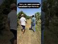 मैनपाट 🏔️ Ex - Army Litchi Farm Cum Nursery के कुछ मजेदार पल🥳🌳🌲🌴