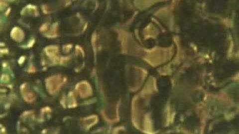 Phase transformation from an isotropic liquid to a  nematic liquid crystal (on grooved surface)