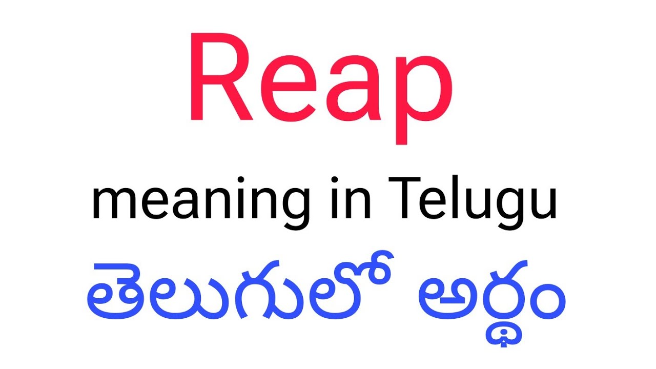 Reap Meaning In Telugu Reap Reap Telugu Meaning reap-meaning-in-telugu-reap-reap-telugu-meaning