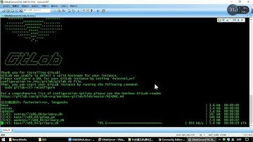 59 Gitlab安装