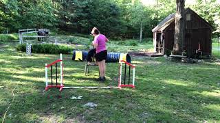 Yikes! Amanda Shyne Puppy2: Directional Challenge