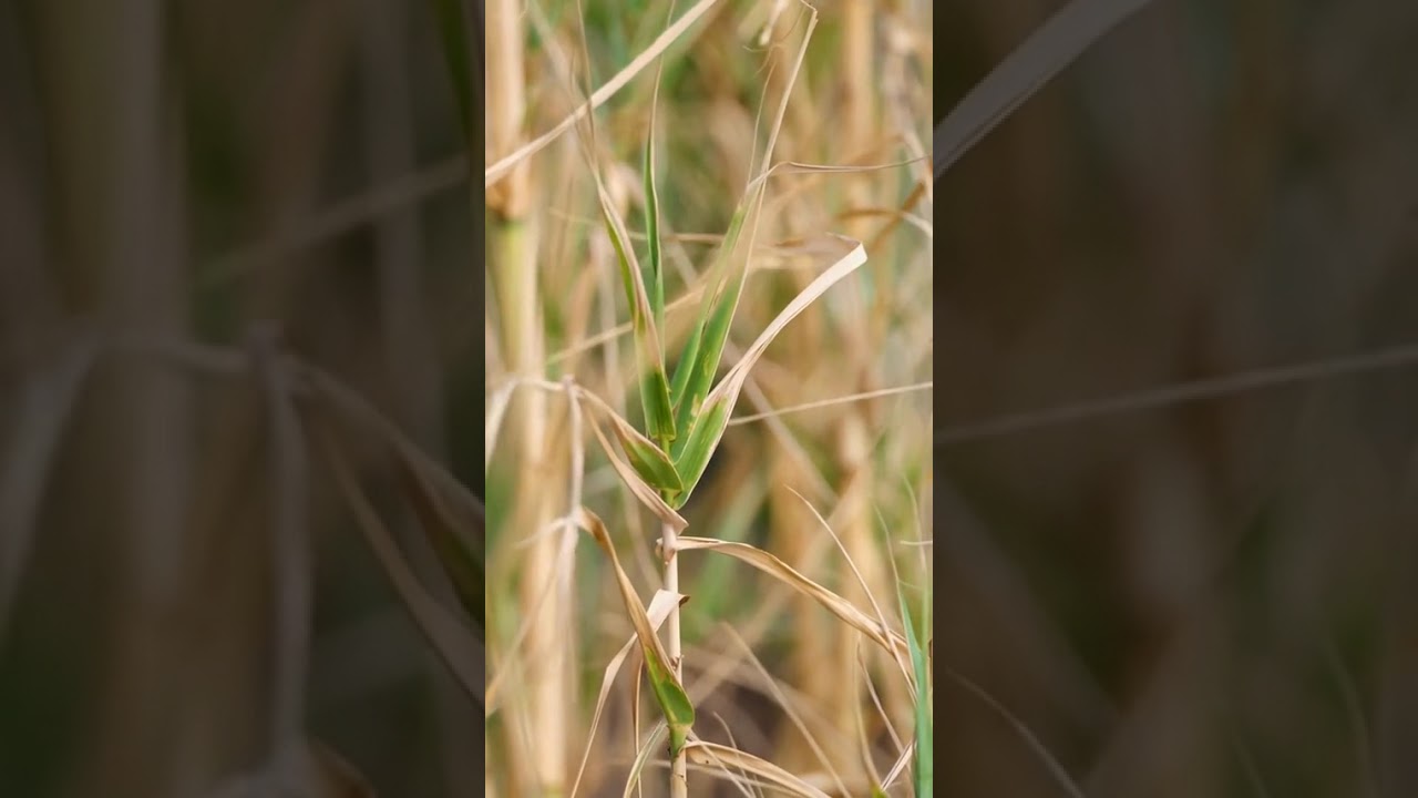 உன் வாழ்வின் உடைந்த சிதறல்களை, எஞ்சிய சொச்சங்களை என் பலிபீடத்திற்கு கொண்டு வா